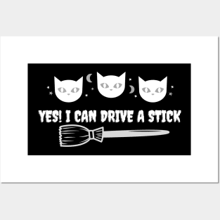 Yes! I Can Drive  A Stick Posters and Art